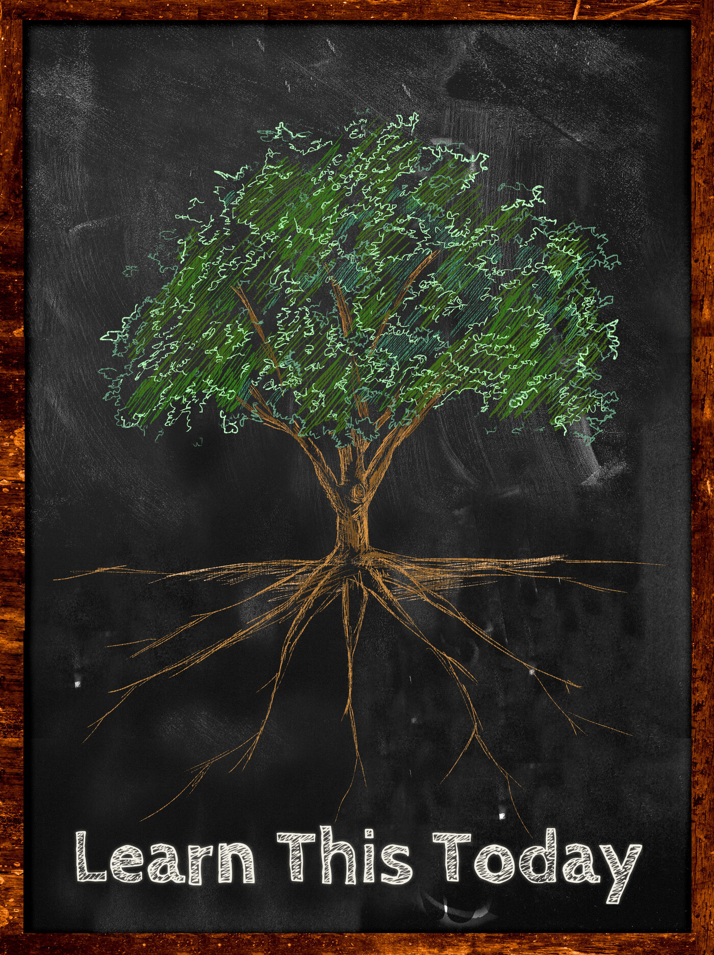 Chalkboard drawing of a tree of knowledge with deep roots, titled Learn This Today